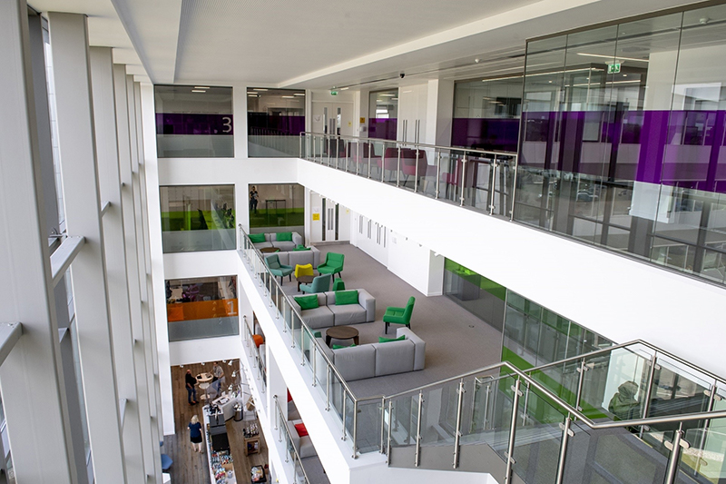 Image Hybrid Working